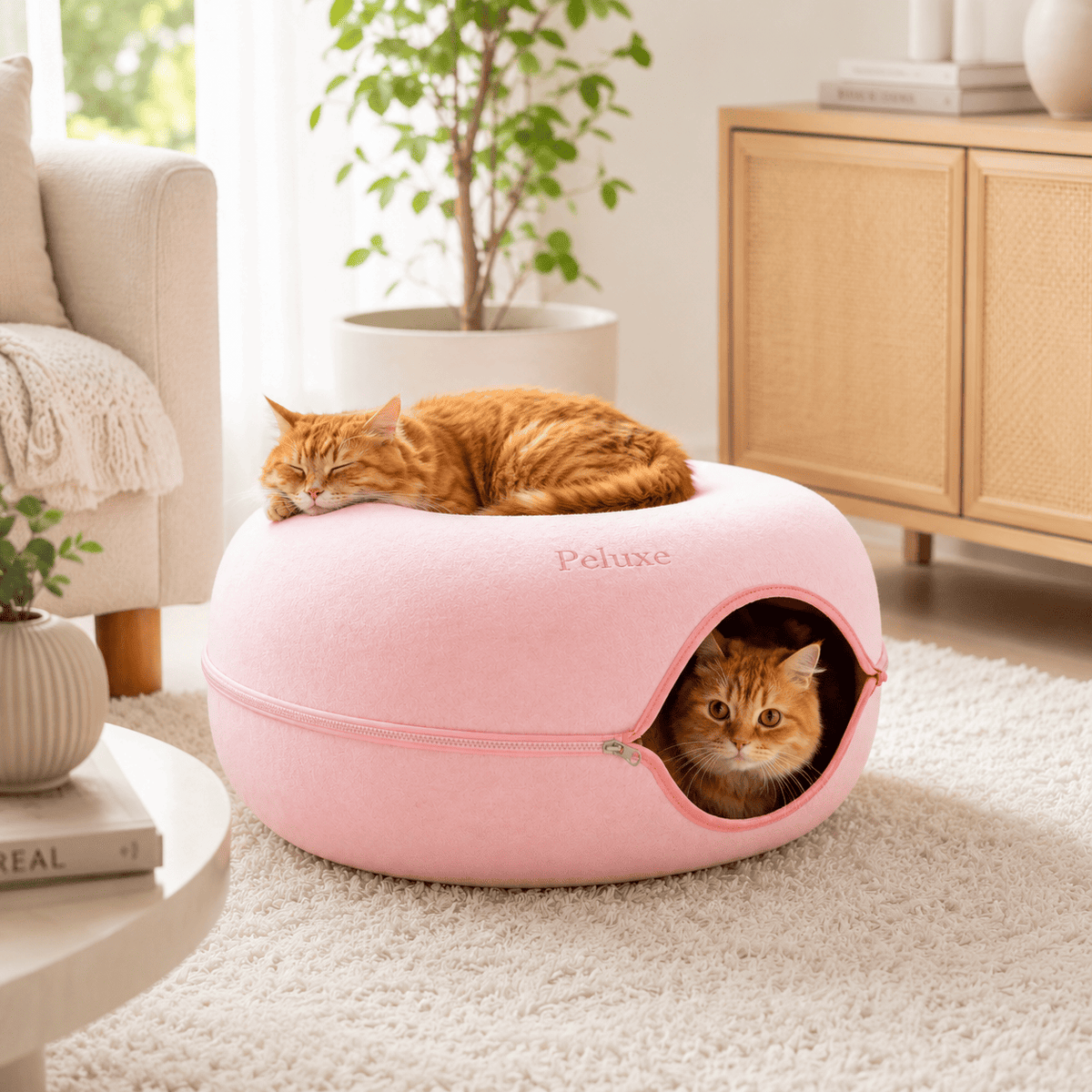 Peluxe™ CatHalo – Cama Interactiva 4 en 1 para Gatos