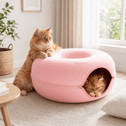 Peluxe™ CatHalo – Cama Interactiva 4 en 1 para Gatos